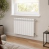 Bimetallic radiator Global Style Plus 500/1, 114W (ΔT 50°C), 575x80x95mm